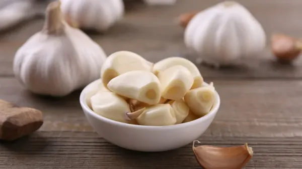 can you feed garlic to your pets