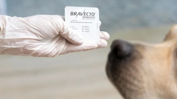 flea tick products