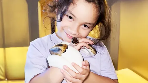 gizmo the snake becomes her best friend