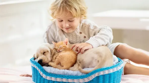 pets kids playtime