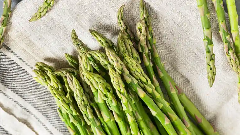 can you feed asparagus to your pets