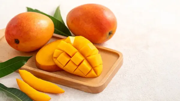 can you feed mango to your pet