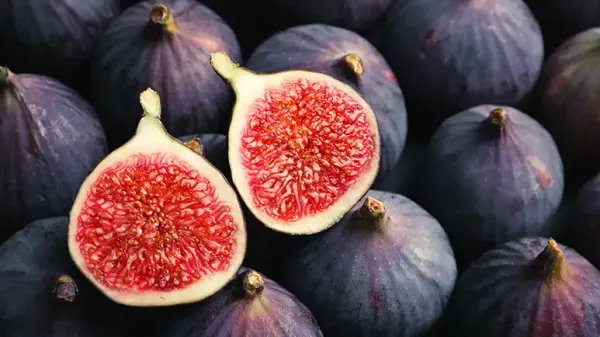 can you feed figs to your pets