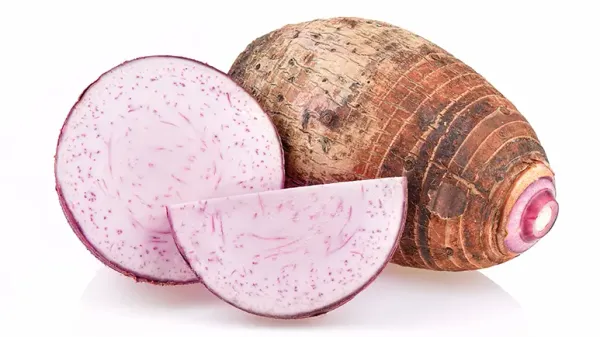 can you feed taro to your pets