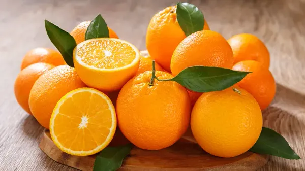 can you feed your pets oranges