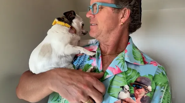 daisy's perfect day