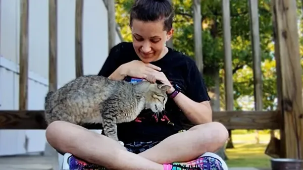 cabbit finds a home outdoors