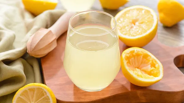 can you feed lemons to your pet