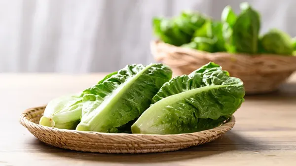 can you feed romaine lettuce to your pets