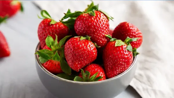 can you feed strawberries to your pets