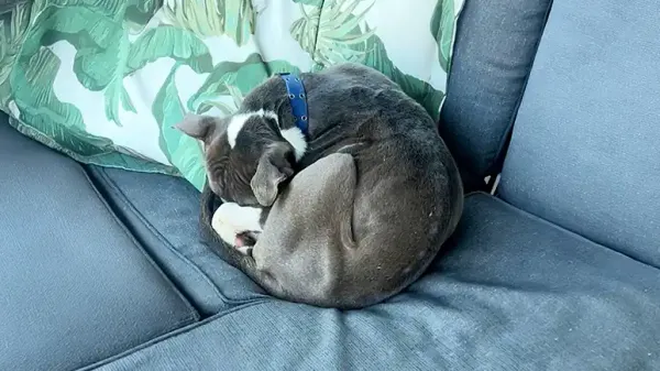 from porch to forever