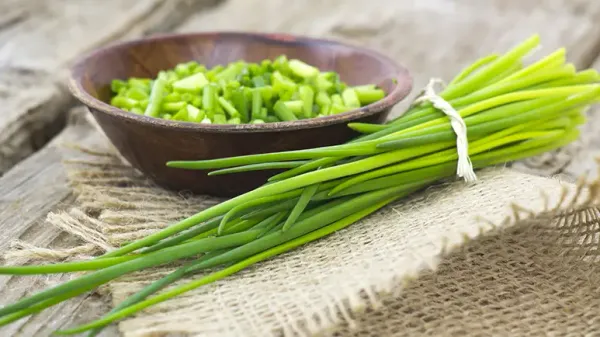 can you feed chives to your pet