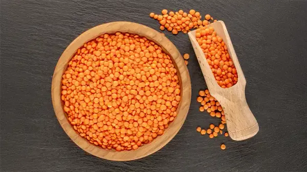 can you feed lentils to your pets