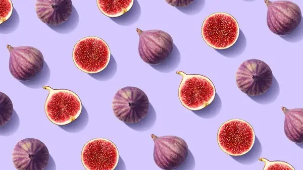 can you feed figs to your pets