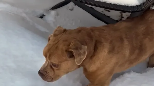 from hot mess to happy home