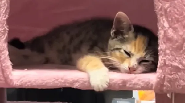 left behind but not forgotten