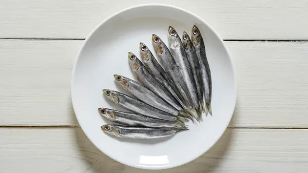 can you feed anchovies to your pet