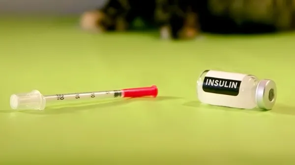 pet diabetes sugar struggle