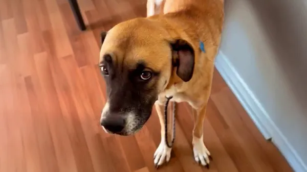 she shut down completely then one reunion changed everything