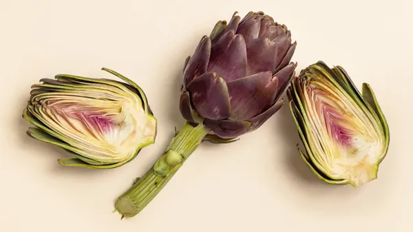 can you feed artichoke to your pet
