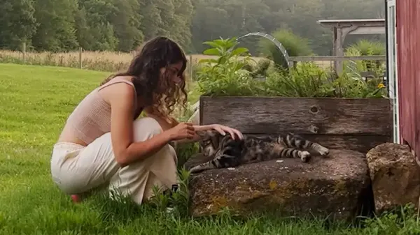 couple finds unexpected houseguest in their new home