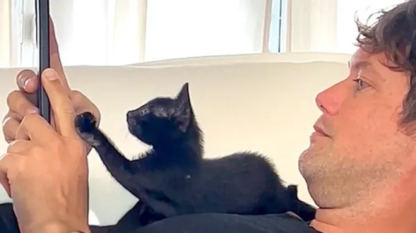 couples lowes trip turns into a surprise rescue