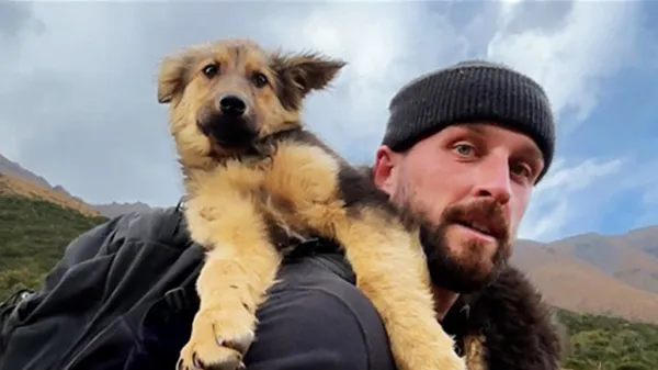 hiker reaches a peak and finds a puppy waiting