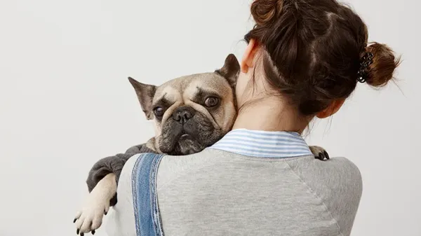 why dog may not like to cuddle