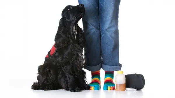 diabetes service dogs