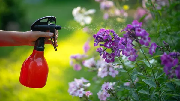 neonicotinoid affects bees brains