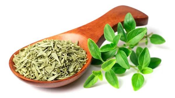 can you feed thyme to your pets