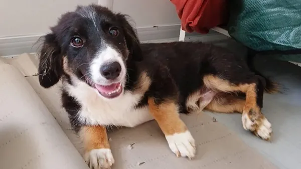 the day he finally felt safe enough to nap